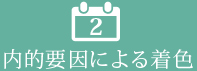 その2:内的要因による着色